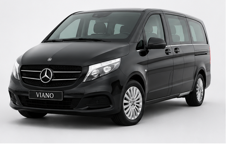 Mercedes Viano